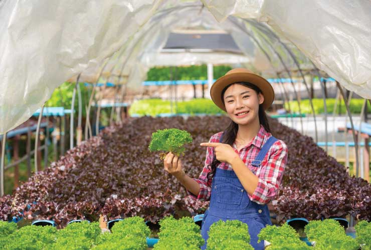 Nông nghiệp là ngành được nhiều người lao động chọn khi đi xuất khẩu lao động Hàn Quốc