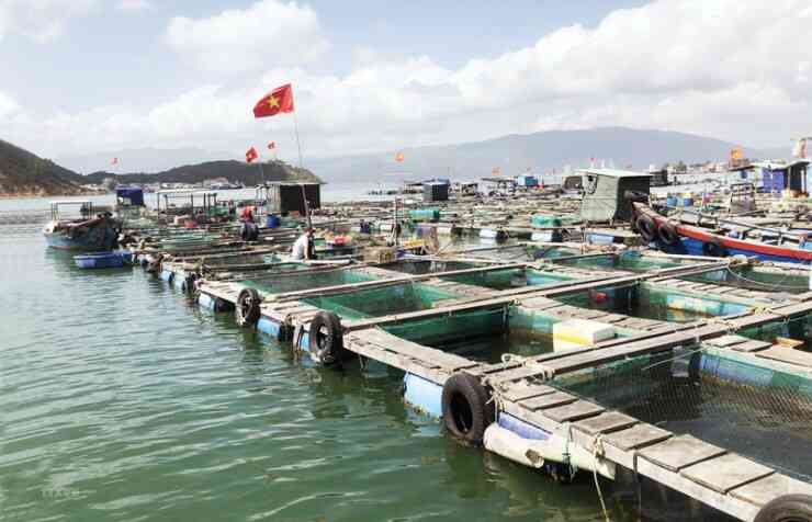 Ngư nghiệp được nhiều người Việt Nam chọn đi xuất khẩu lao động Hàn Quốc