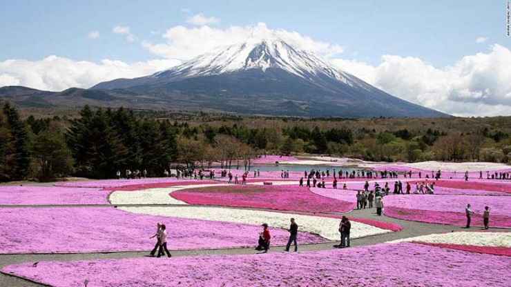 Cơ hội trải nghiệm và thưởng thức văn hóa tươi đẹp của Nhật Bản