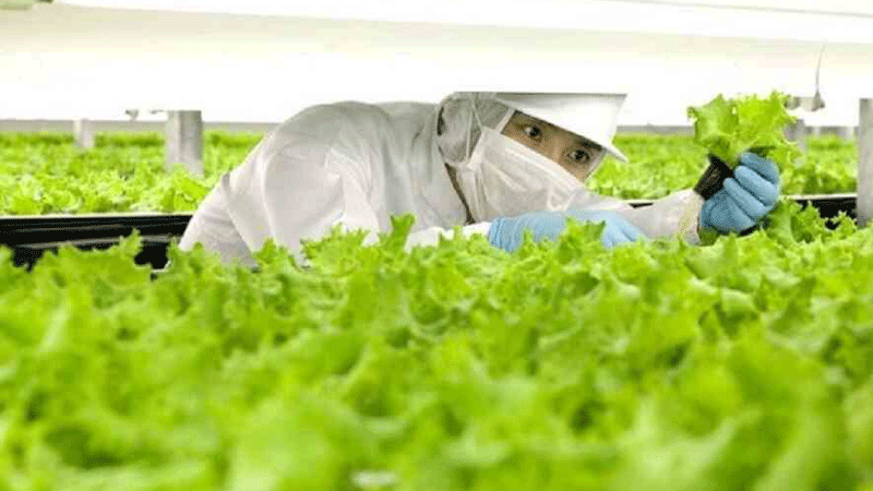 Những lưu ý quan trọng khi đi lao động Nhật Bản