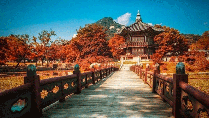 Nữ có nên đi xuất khẩu lao động Hàn Quốc? Điều kiện xuất khẩu lao động Hàn Quốc cho nữ